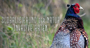 Globalisierung der Natur: Invasive Arten