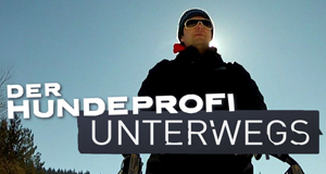 Der Hundeprofi unterwegs