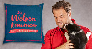 Martin Rütter - Die Welpen kommen